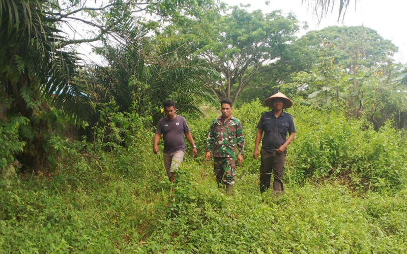 Cegah Terjadi Karhutla, Babinsa Koramil 03 SS Gelar Komunikasi Sosial