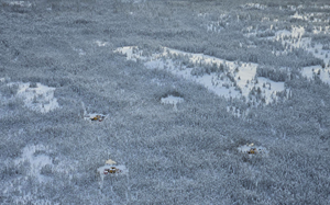 Q2 Metals Appoints Keith Phillips as Executive Chair of the Board of Directors