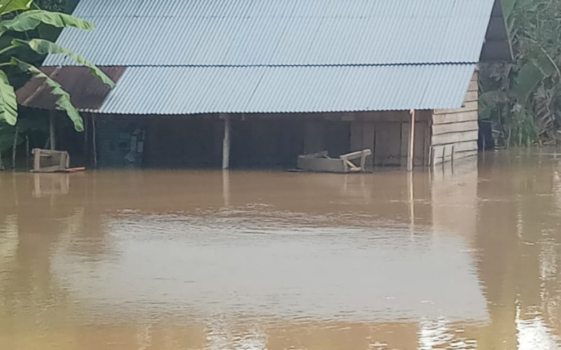 Desa Seberang Pulau Busuk Jaya Kuansing Terendam Banjir