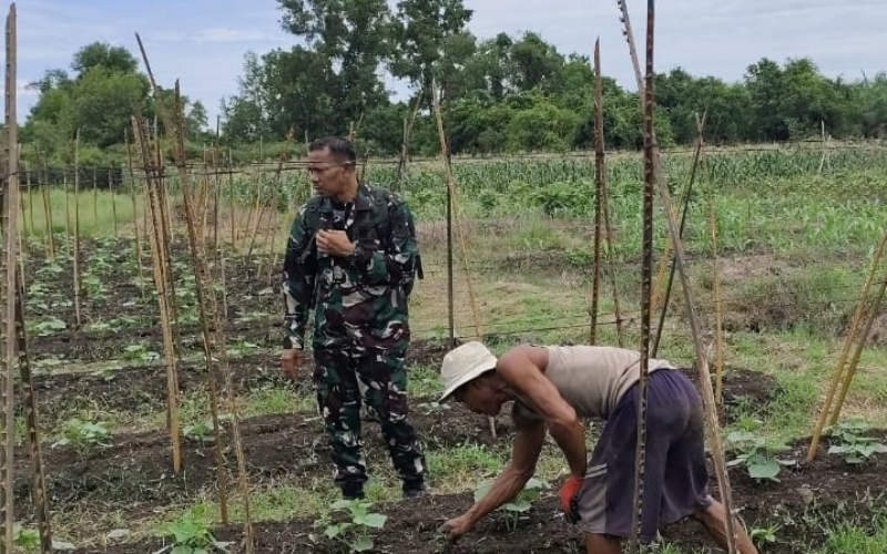 Pendampingan Pertanian di Batu Teritip: Babinsa Ajak Warga Tingkatkan Kewaspadaan Karhutla