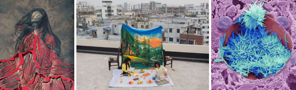 Wellcome Photography Prize 2025: Winning Images Reveal Powerful Stories of Science and Health