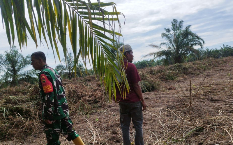 Patroli Karhutla oleh Koramil 03 Sungai Sembilan: Warga Diimbau Tidak Bakar Lahan