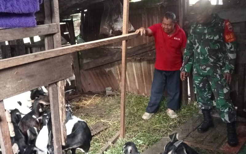 Koramil 01 Sosialisasi Bahaya PMK di Wilayahnya