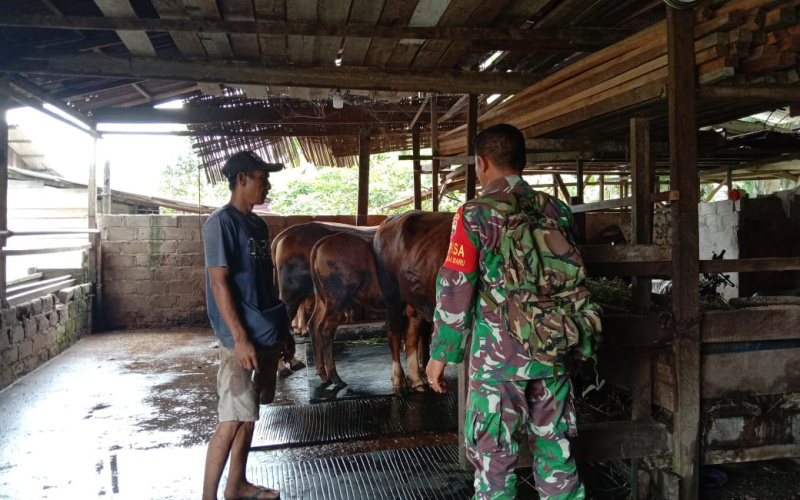Babinsa Koramil 03 Sei Sembilan Giat Sosialisasi Pencegahan PMK