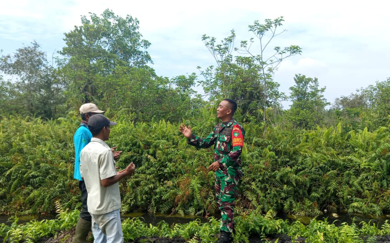 Babinsa Bagan Keladi Gencarkan Patroli dan Edukasi Cegah Karhutla