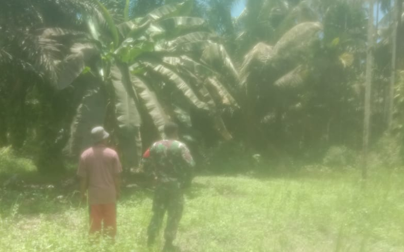 Patroli Karhutla oleh Serka Afnal Alieu Permana