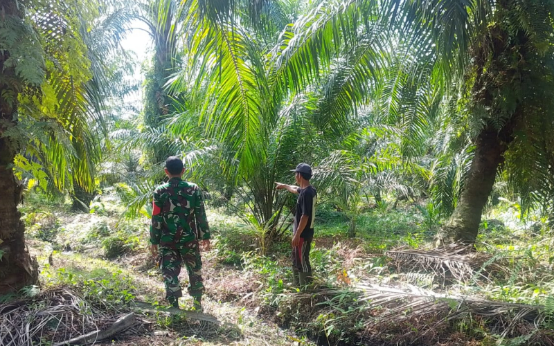 Patroli Karhutla, Babinsa Mundam Ajak Warga Jaga Lingkungan