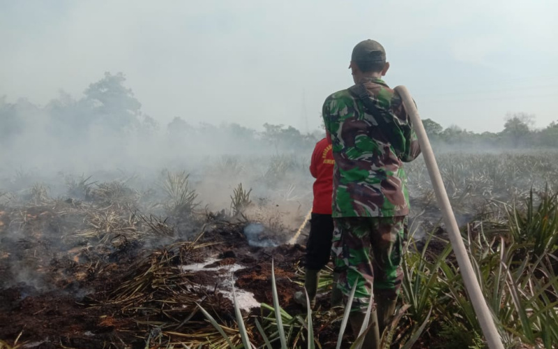Upaya Pemadaman Karhutla oleh Sertu Ramli