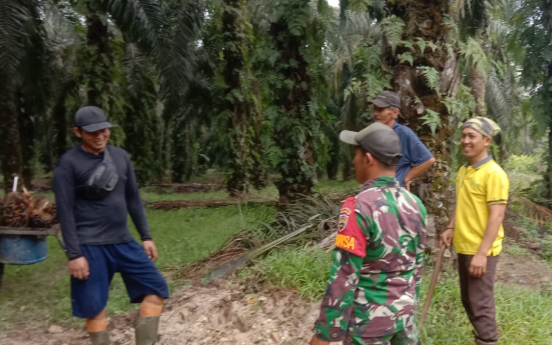 Jaga Wilayah Terhadap Karhutla, Babinsa Basilam Baru Laksanakan Patroli