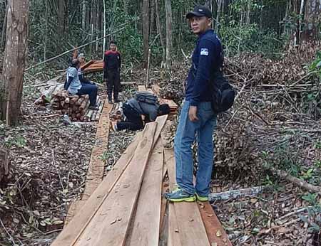 Polres Meranti Ringkus Pelaku dan Sita Kayu Hasil Ilegal Logging 