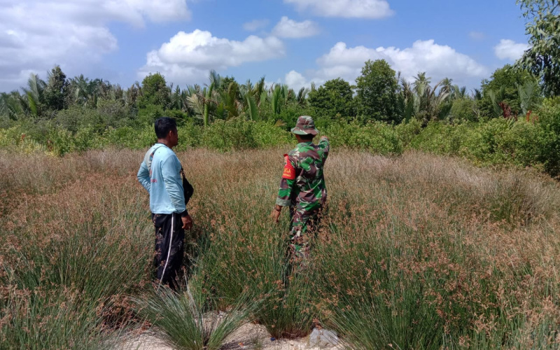Babinsa Koramil 03 Sertu Jainal Arifin Patroli Karhutla