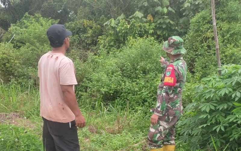 TNI Turun ke Lapangan, Babinsa STDI Wujudkan Karya Nyata Hijaukan Dumai Barat