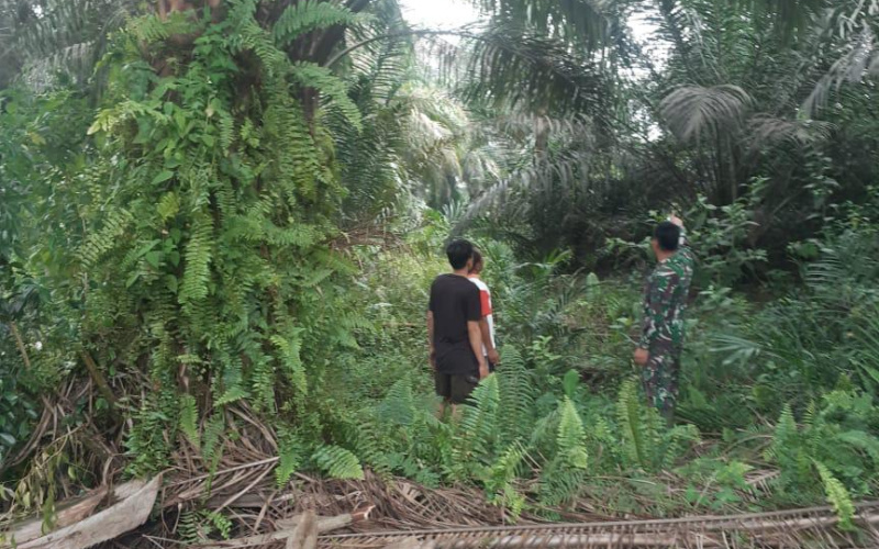 Komunikasi Sosial, Babinsa Koramil 03 SS Ajak Masyarakat Awasi Hutan dan Lahan