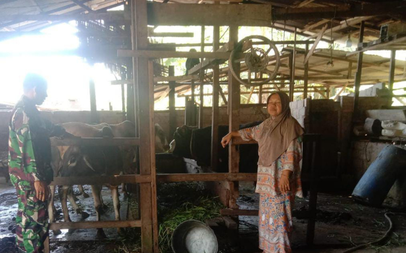 Babinsa Koramil 03 Sungai Sembilan Rutin Awasi Kesehatan Ternak Warga