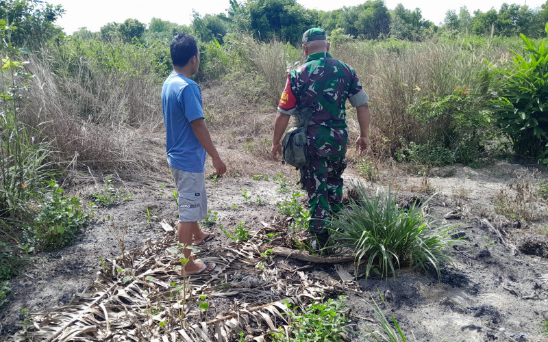 Babinsa Kelurahan Bukit Timah Laksanakan Patroli Karhutla