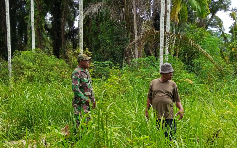 Serka Afnal Pimpin Patroli Karhutla di Lubuk Gaung, Titik Api Nihil