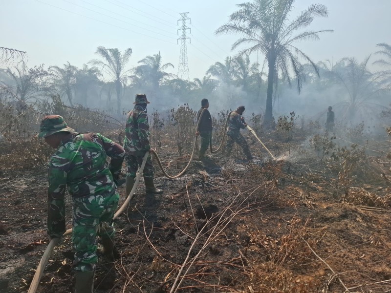 Karhutla Kembali Terjadi di Mundam, 1,5 Hektare Lahan Gambut Terbakar