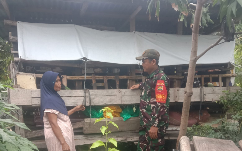 Sertu SMP Sinaga Berikan Edukasi kepada Peternak, Cara Cegah Wabah Penyakit