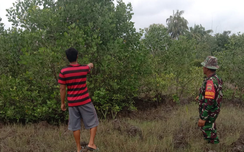 Babinsa dari Basilam Baru Imbau Warga Agar Tidak Membakar Lahan