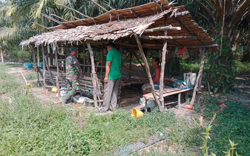 Serda Bambang Irwanto Sambangi Peternakan Sapi