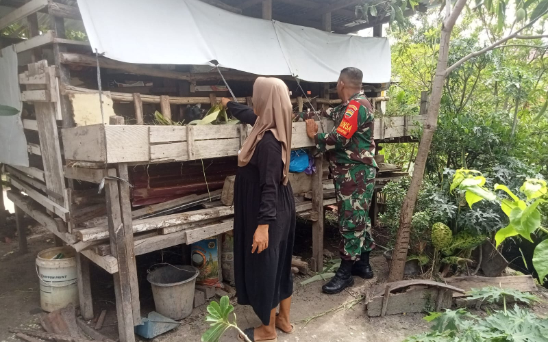Babinsa Rimba Sekampung Edukasi Warga Soal Kesehatan Ternak dan Kebersihan Kandang