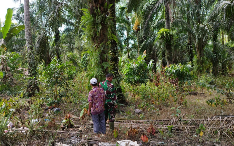 Babinsa Batu Teritip Ingatkan Warga: Membakar Lahan Bisa Kena Sanksi Hukum
