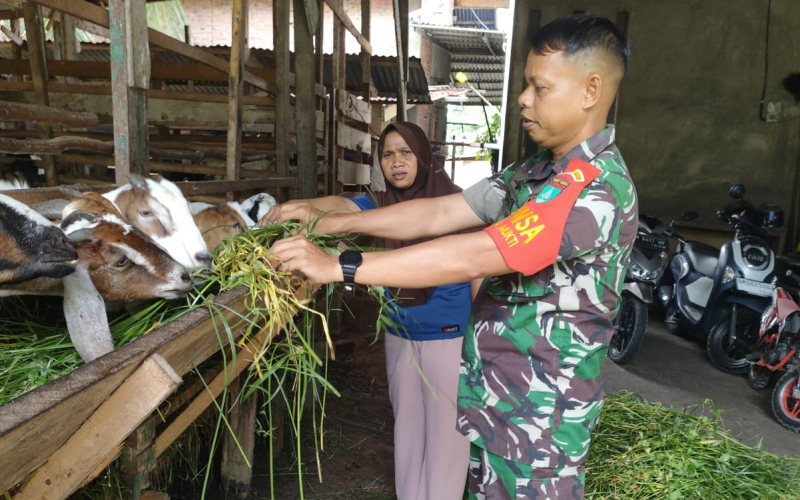 Wujud Kepedulian TNI AD, Babinsa Koramil 01 Dumai Sosialisasikan Pencegahan PMK ke Peternak