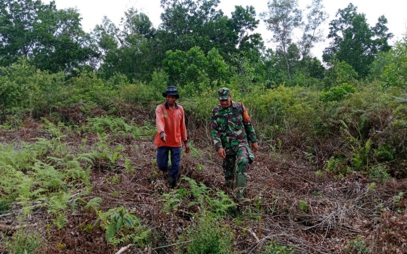 Wujud Kepedulian Lingkungan, Babinsa Tanjung Palas Patroli Karhutla