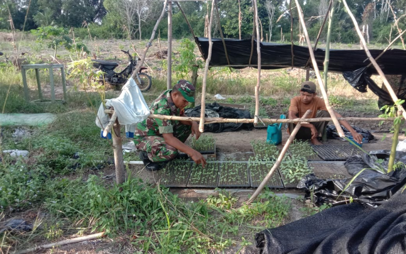Upaya Pemberdayaan Masyarakat di Bidang Pertanian, Babinsa Pangkalan Sesai Sosialisasi