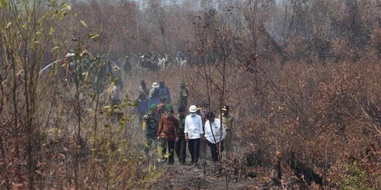 Jokowi: 2017 Enggak Usah Pakai Peringatan Perusahaan Pembakar Lahan