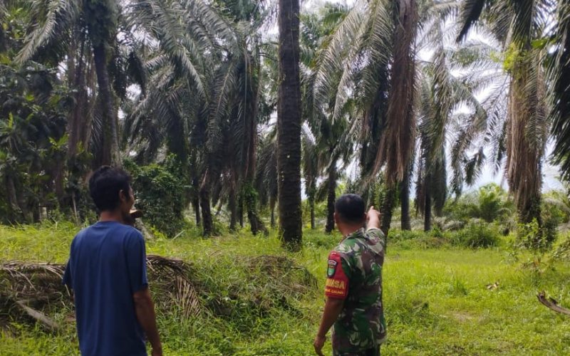 Patroli Rutin Babinsa Pastikan Lubuk Gaung Aman dari Titik Api