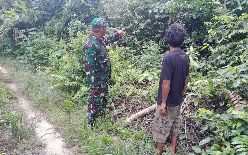 Babinsa Koramil 01/Dumai Patroli Cegah Karhutla