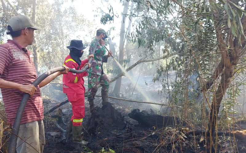 Karhutla Landa Kelurahan Mundam, Kodim 0320 Dumai Pimpin Pemadaman Terpadu