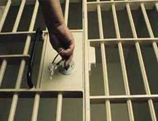 Rambah Hutan TNTN, Johanes Sitorus Ditahan Kejati Riau 