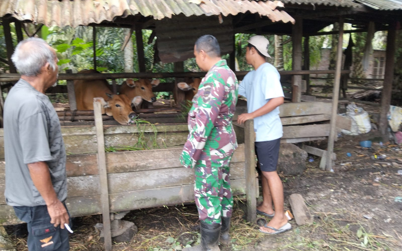 Sosialisasi dan Upaya Koramil 01 dalam Pencegahan PMK