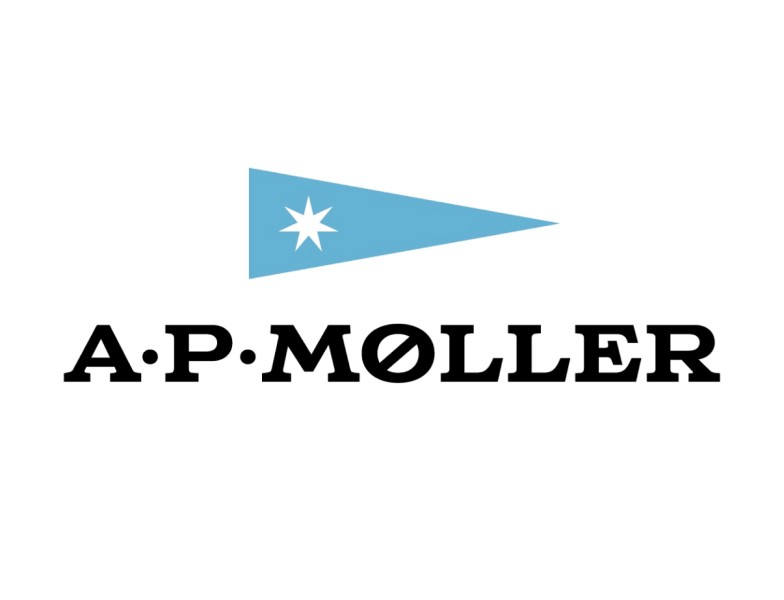 A.P. Moller Capital announces Indian renewables investment with Rays Power Infra